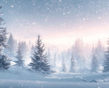 名称未設定のデザイン - 1