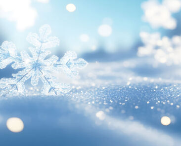 名称未設定のデザイン - 4