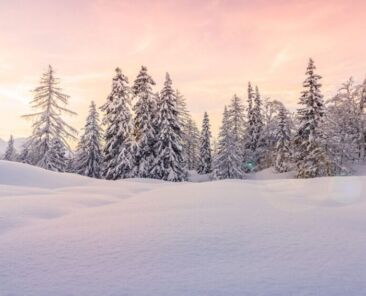 名称未設定のデザイン