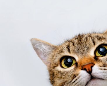 名称未設定のデザイン (1)