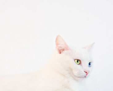 名称未設定のデザイン - 1