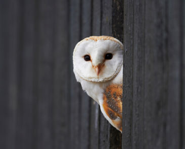 名称未設定のデザイン - 10